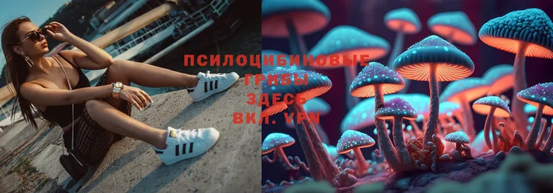 Псилоцибиновые грибы MAGIC MUSHROOMS  Будённовск 